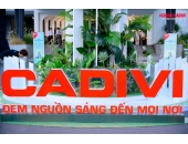 Thiết Bị Điện Đức Tiến – Đại Lý Cấp 1 Dây Cáp Điện CADIVI Chính Hãng Tại TP.HCM và Khu Vực Phía Nam